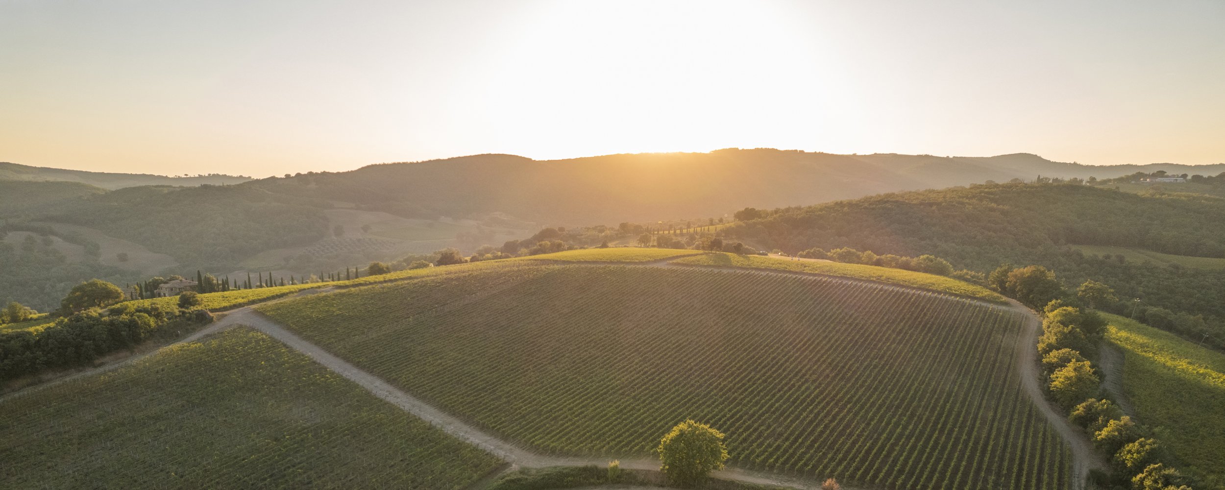 San Polo - Montalcino