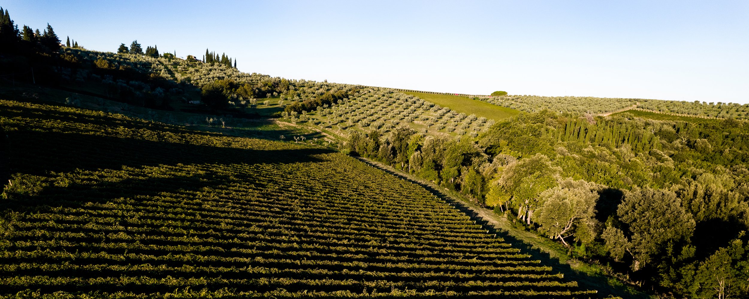 Tenuta Maryamado